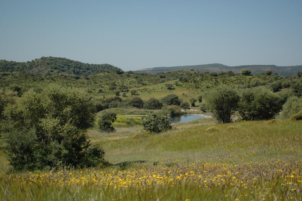 Hostel Albergue Rural De Fuente Agria Villafranca de Córdoba Exteriér fotografie